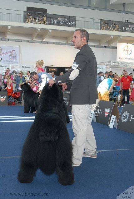 Фотография № 98267