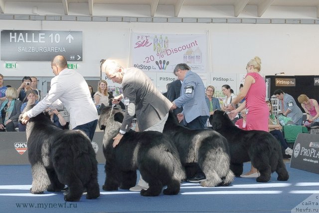 Фотография № 98269