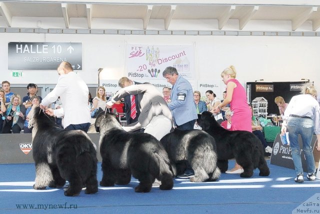 Фотография № 98270