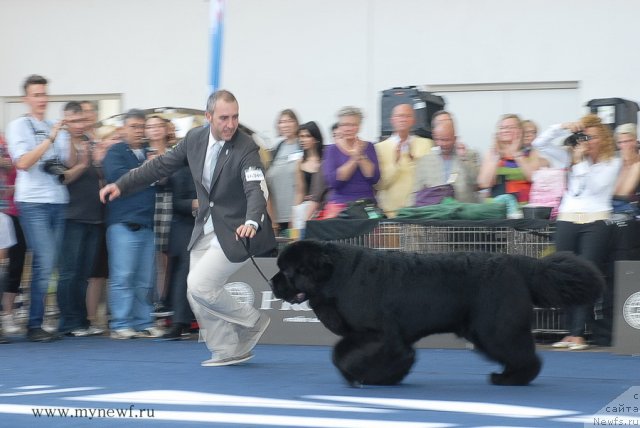 Фотография № 98273