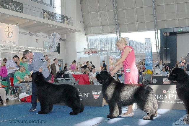 Фотография № 98275