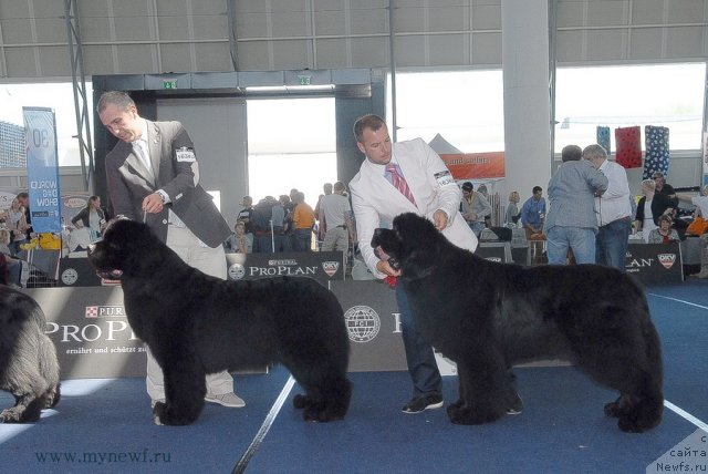 Фотография № 98277