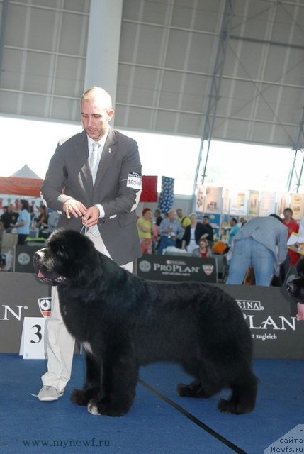 Фотография № 98280