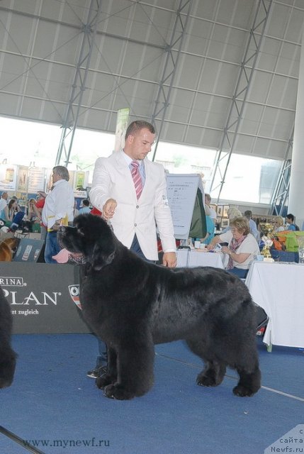 Фотография № 98281