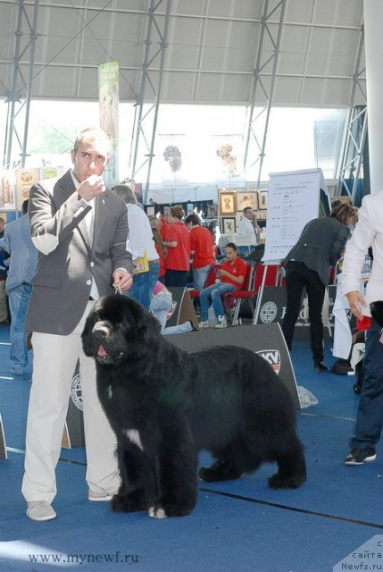 Фотография № 98282