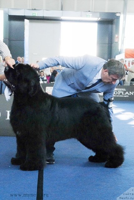 Фотография № 98283