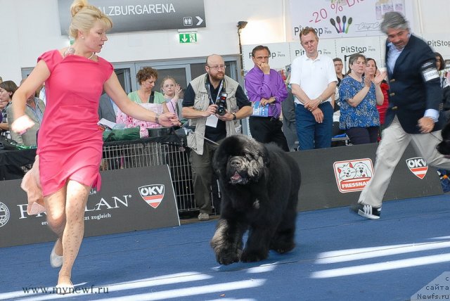 Фотография № 98287