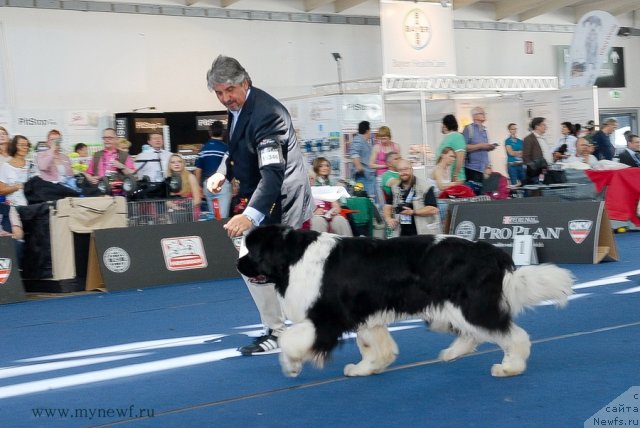 Фотография № 98289