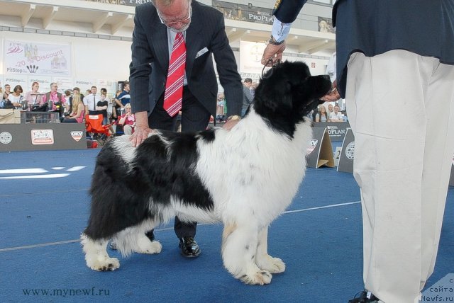 Фотография № 98293