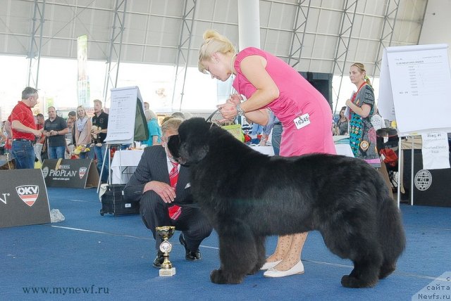 Фотография № 98294