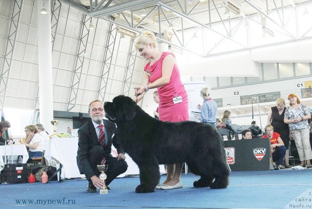 Фотография № 98298