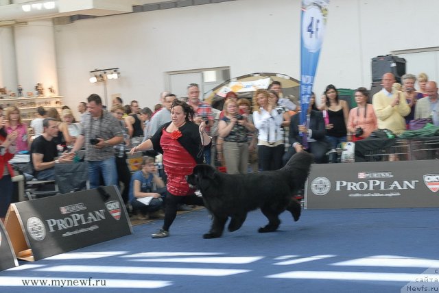 Фотография № 98299