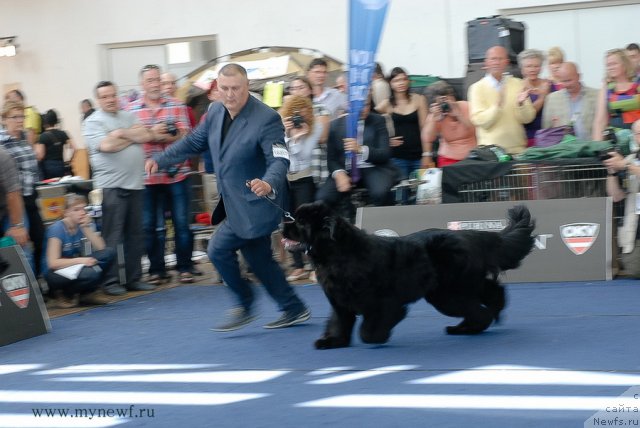 Фотография № 98300