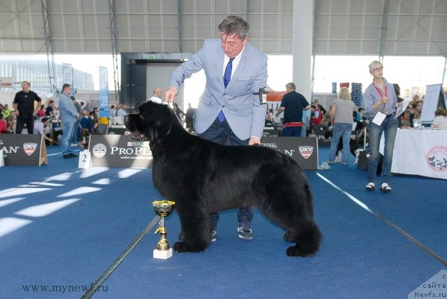 Фотография № 98303