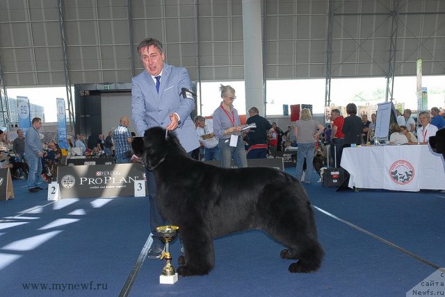 Фотография № 98304