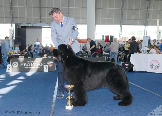 Фотография № 98305