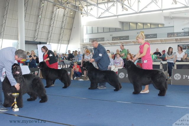 Фотография № 98306