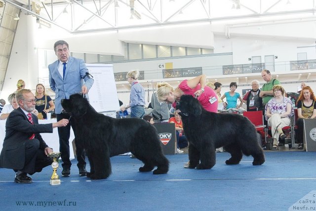 Фотография № 98308