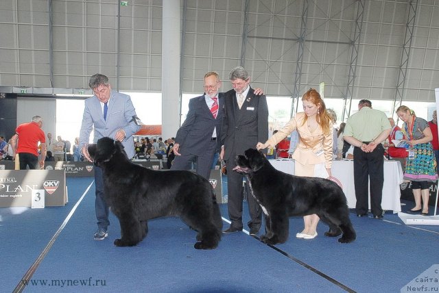 Фотография № 98314