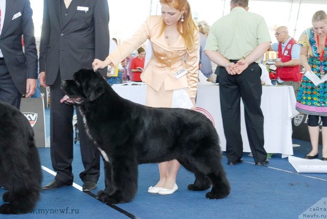 Фотография № 98315