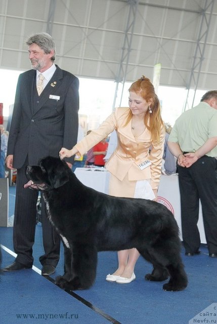 Фотография № 98316