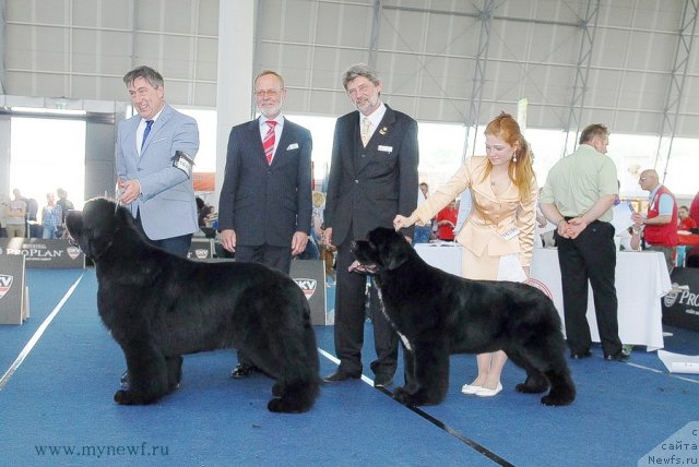 Фотография № 98317