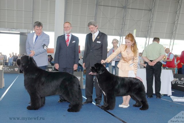 Фотография № 98318