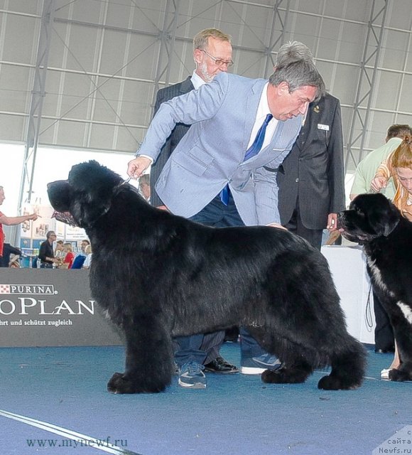 Фотография № 98319