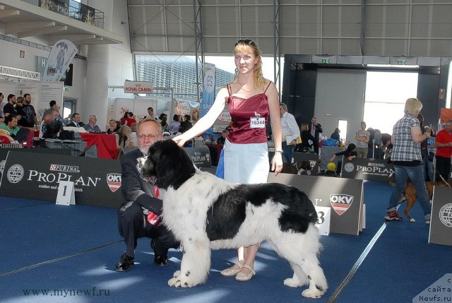 Фотография № 98322