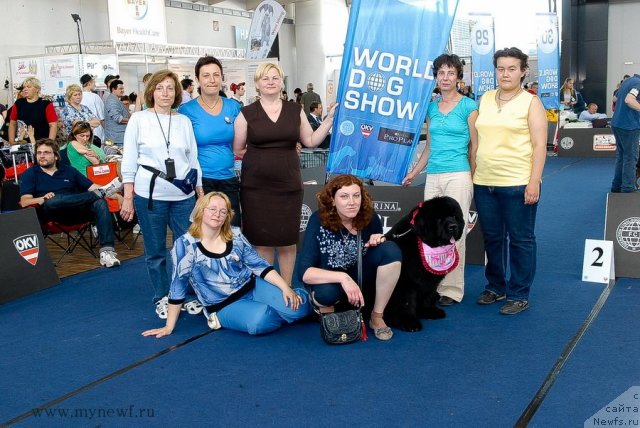 Фотография № 98324