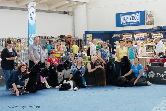 Фотография № 98327