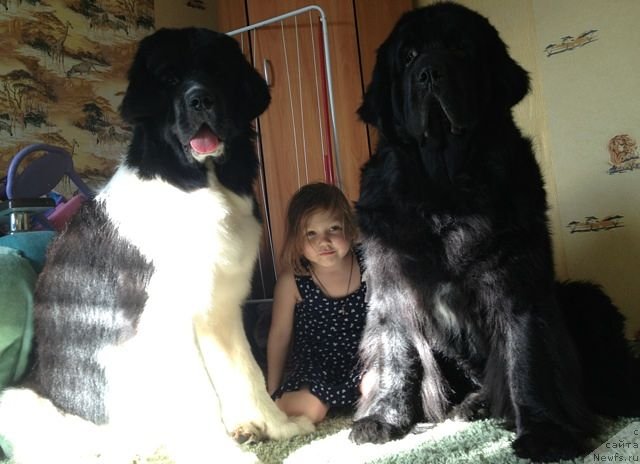 Фотография № 98364