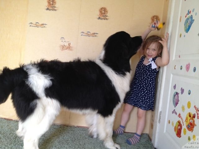 Фотография № 98367