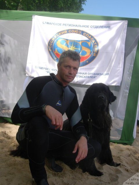 Фото: Андрей Кошкидько, ньюфаундленд Юнона