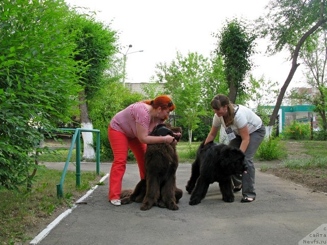 Фотография № 98380