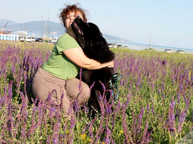 Фотография № 98390