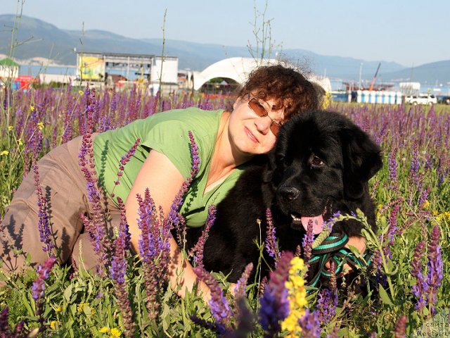 Фотография № 98391