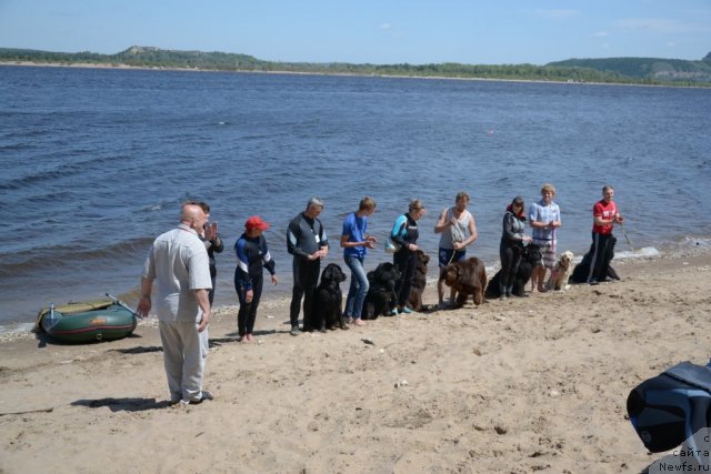 Фото: Владимир Ключенович, Соломатина Наталья, Надежда Федосеева, Андрей Кошкидько, ньюфаундленд Юнона, Евгений, ньюфаундленд Лесная Сказка Раскрасавица, Диана Ларина, ньюфаундленд Звездная Тоскана Лесная Раскрасавица, Андрей Ларин, ньюфаундленд Конфуций, Марина Горошенко, ньюфаундленд Их Высочество Глория Айрис (Ih Visochestvo Gloria Airis), Артем и Агата, Александр, ньюфаундленд Эра Гранд Люкс Уильям