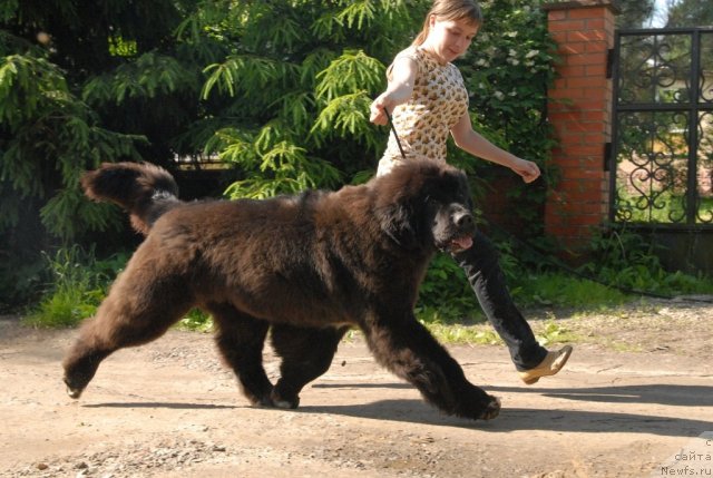 Фотография № 98449