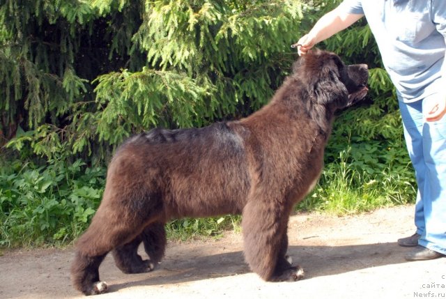 Фотография № 98453