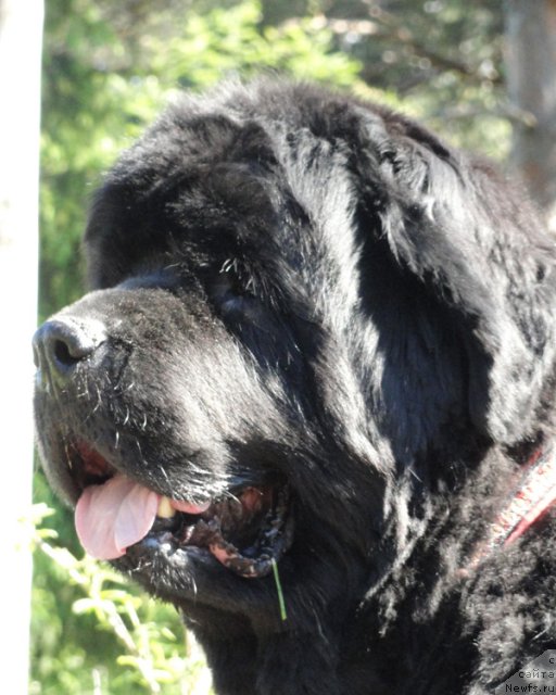 Фотография № 98538