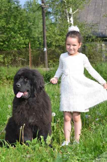 Фотография № 98556