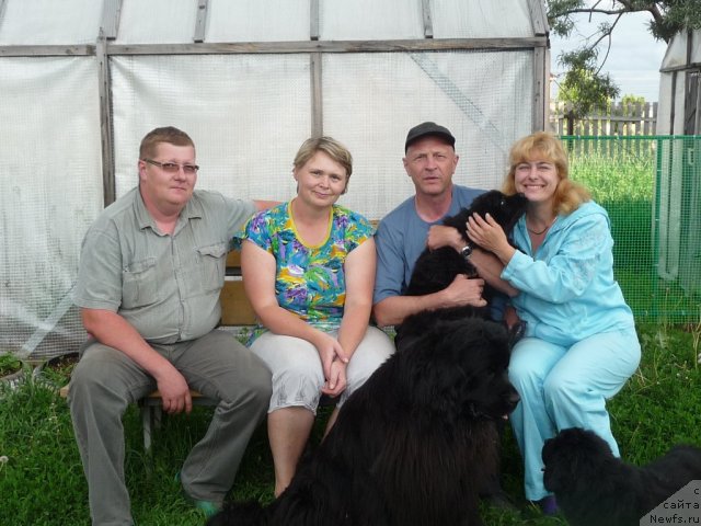 Фото: Виталий Перевышин, Наташа Перевышина, мама с папой Сказки, ньюфаундленд Восточная Сказка, ньюфаундленд Большая Удача, ньюфаундленд Властелин Морей