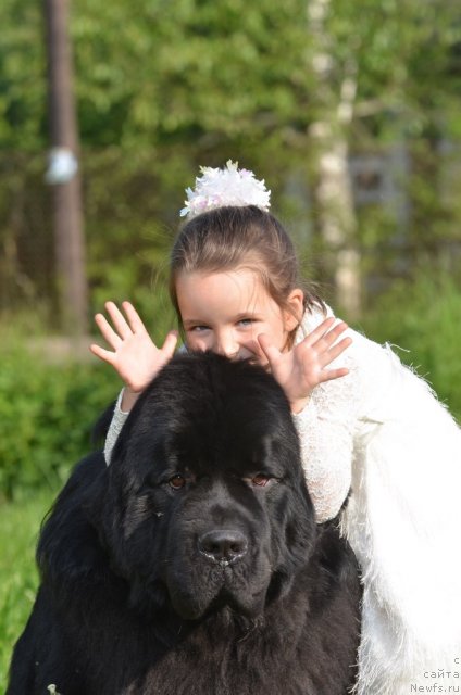 Фотография № 98577