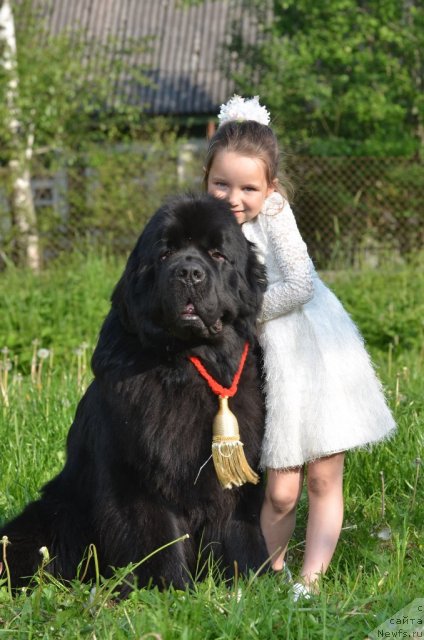 Фотография № 98578