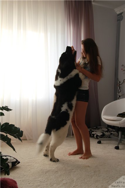 Фотография № 98595