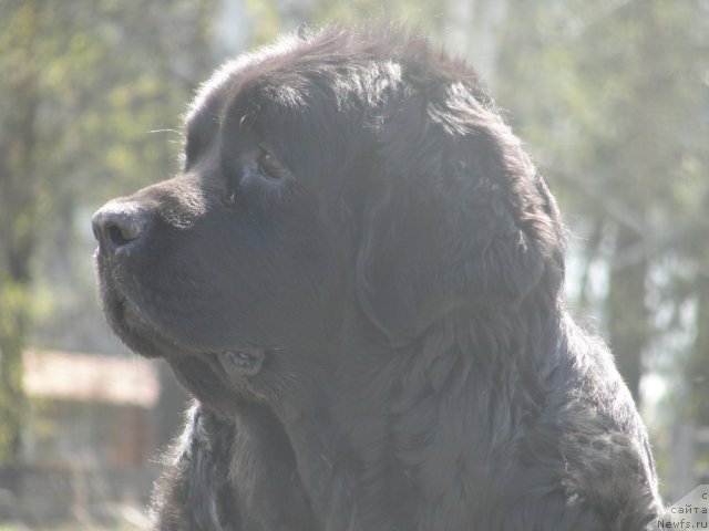 Фотография № 98604