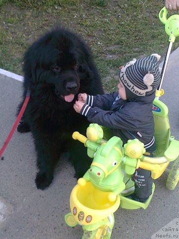 Фотография № 98610