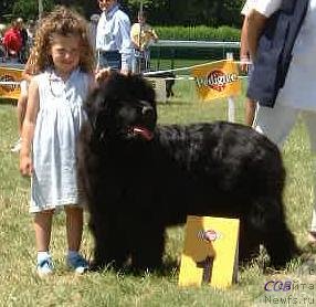 Фотография № 98613