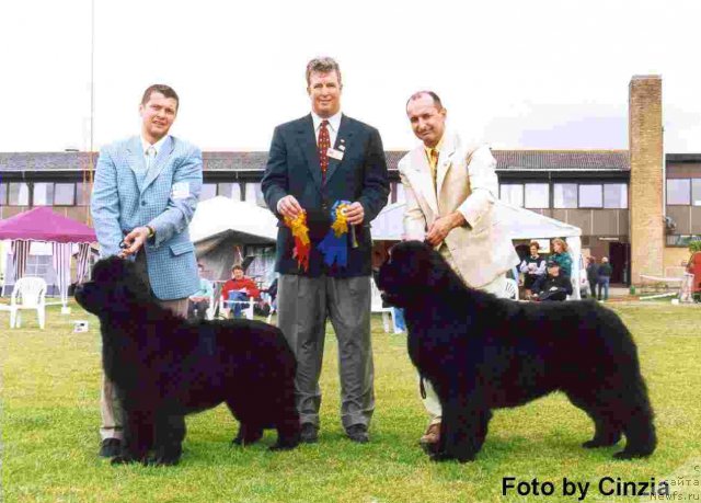 Фотография № 98614